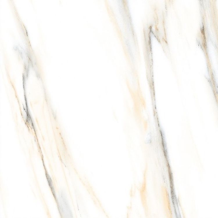 AGL Calacatta Gold Matte 24 x 24